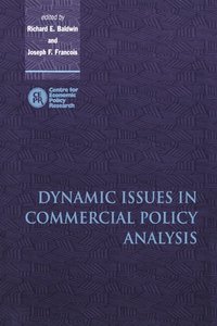 bokomslag Dynamic Issues in Commercial Policy Analysis