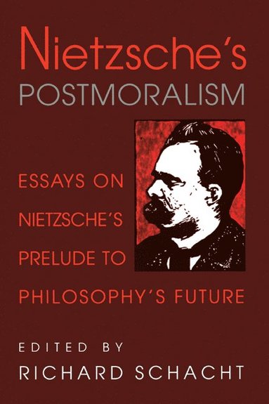 bokomslag Nietzsche's Postmoralism