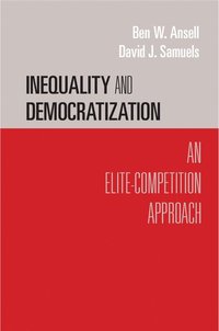 bokomslag Inequality and Democratization
