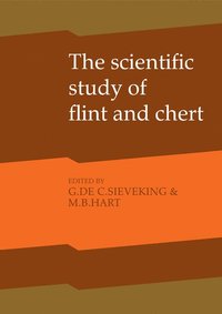 bokomslag The Scientific Study of Flint and Chert