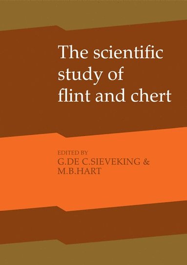 bokomslag The Scientific Study of Flint and Chert