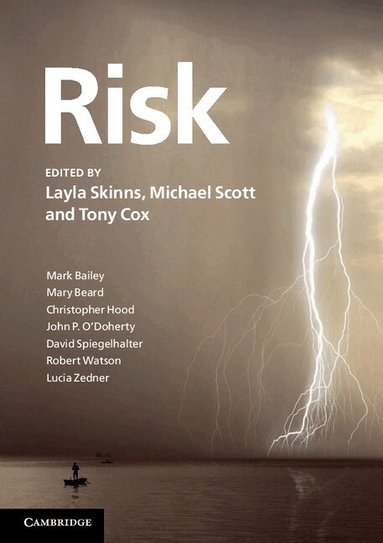 Layla Skinns, Michael Scott, Tony Cox - Risk, Häftad