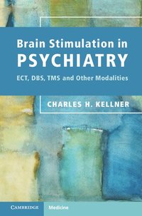 bokomslag Brain Stimulation in Psychiatry