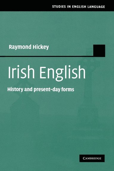 bokomslag Irish English