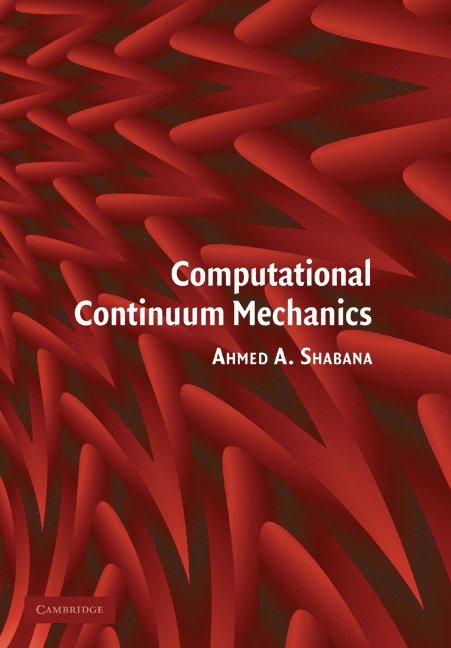 Computational Continuum Mechanics 1