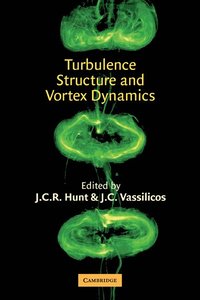 bokomslag Turbulence Structure and Vortex Dynamics