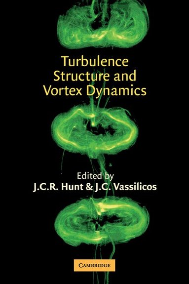 J. C. R. Hunt, J. C. Vassilicos - Turbulence Structure and Vortex Dynamics, Häftad