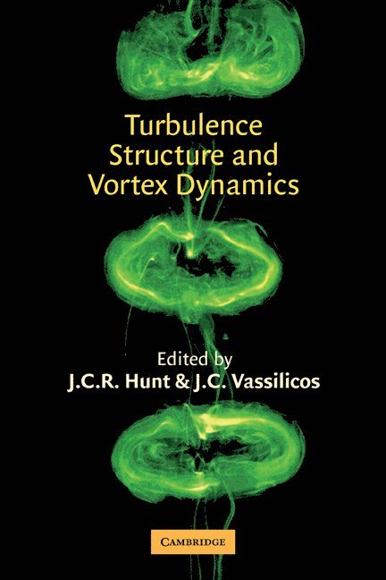 Turbulence Structure and Vortex Dynamics 1