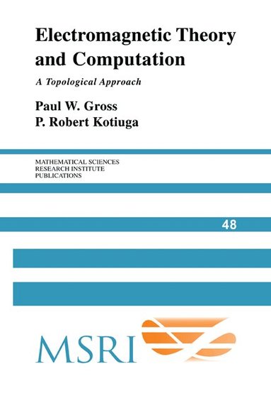 Paul W. Gross, P. Robert Kotiuga - Electromagnetic Theory and Computation, Häftad