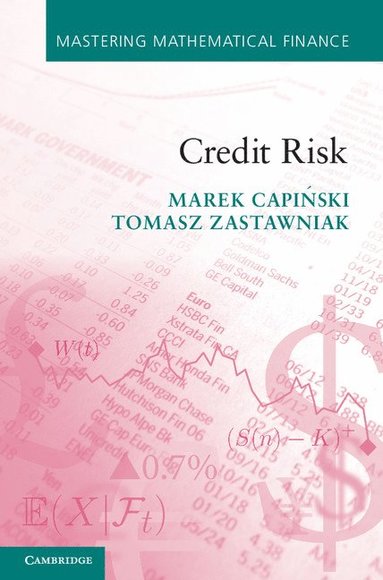 bokomslag Credit Risk