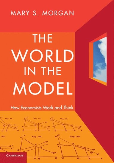 bokomslag The World in the Model