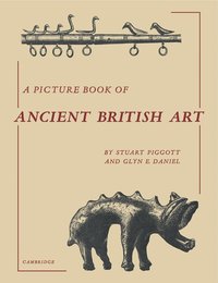 bokomslag A Picture Book of Ancient British Art