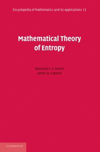 bokomslag Mathematical Theory of Entropy