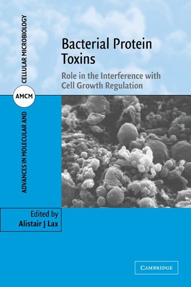 Alistair J. Lax - Bacterial Protein Toxins, Häftad