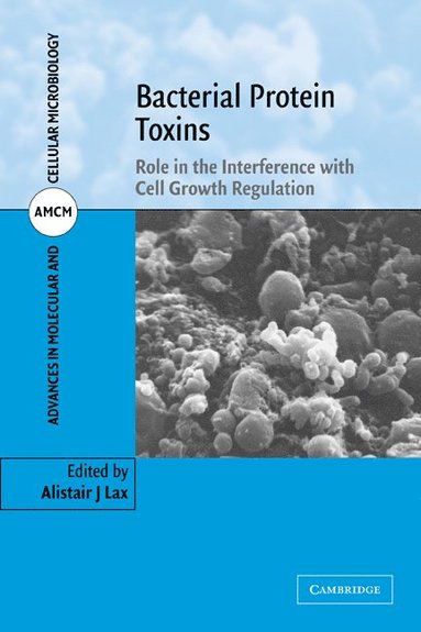 bokomslag Bacterial Protein Toxins