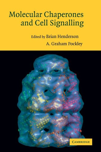 Brian Henderson, A. Graham Pockley - Molecular Chaperones and Cell Signalling, Häftad