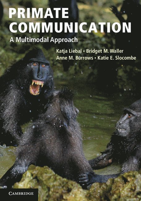 Primate Communication 1