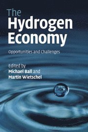 bokomslag The Hydrogen Economy