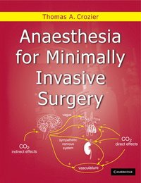 bokomslag Anaesthesia for Minimally Invasive Surgery