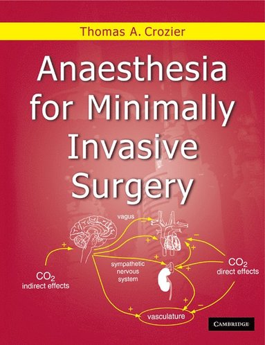 bokomslag Anaesthesia for Minimally Invasive Surgery
