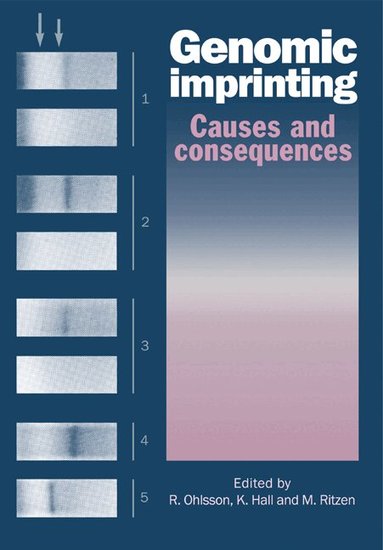 R. Ohlsson, K. Hall, M. Ritzen - Genomic Imprinting, Häftad