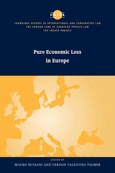 Mauro Bussani, Vernon Valentine Palmer - Pure Economic Loss in Europe, Häftad