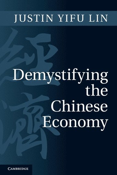 bokomslag Demystifying the Chinese Economy