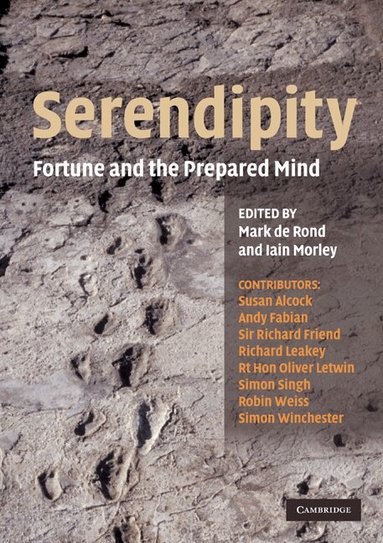 Mark de Rond, Iain Morley - Serendipity, Häftad