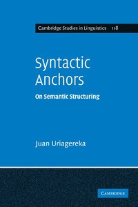 bokomslag Syntactic Anchors