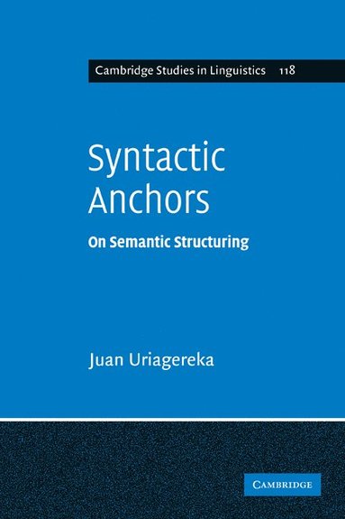 bokomslag Syntactic Anchors