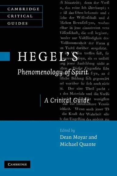 bokomslag Hegel's Phenomenology of Spirit