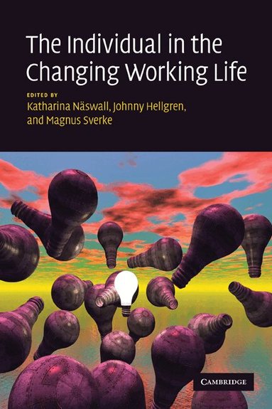 Katharina Nswall, Katharina Naswall, Johnny Hellgren, Magnus Sverke - The Individual in the Changing Working Life, Häftad