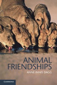 bokomslag Animal Friendships