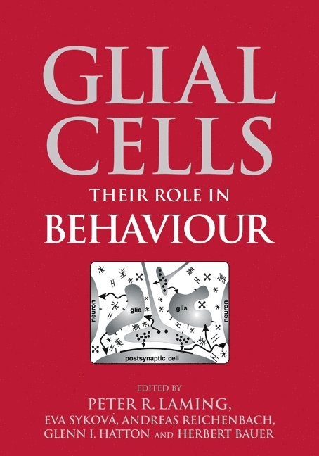 Glial Cells 1