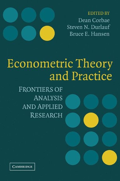 bokomslag Econometric Theory and Practice