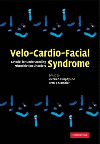 bokomslag Velo-Cardio-Facial Syndrome