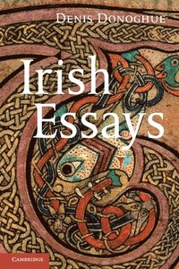bokomslag Irish Essays