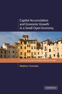 bokomslag Capital Accumulation and Economic Growth in a Small Open Economy