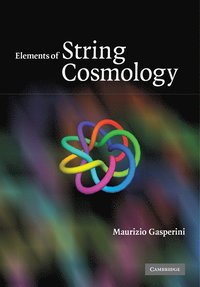 bokomslag Elements of String Cosmology