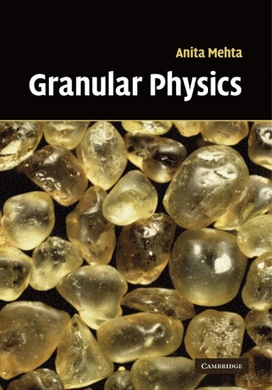 bokomslag Granular Physics