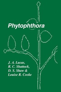 bokomslag Phytophthora