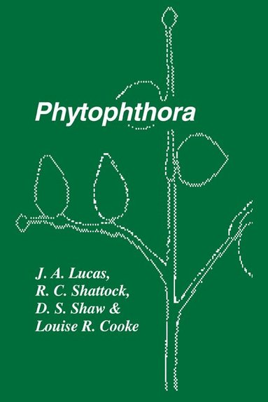 J. A. Lucas, R. C. Shattock, D. S. Shaw, Louise R. Cook - Phytophthora, Häftad