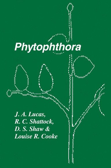 bokomslag Phytophthora