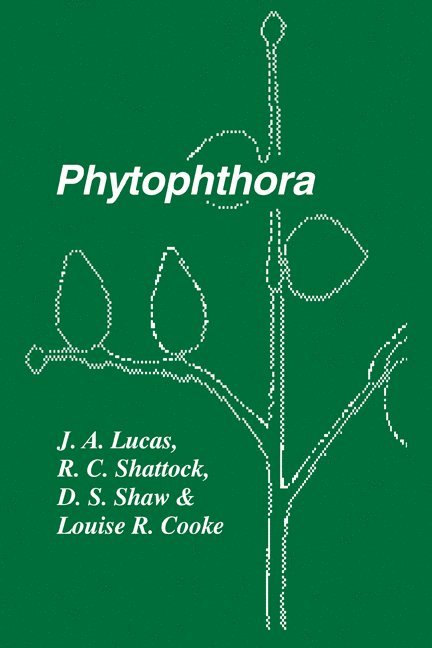 J. A. (University of Nottingham) Lucas, Aberystwyth) Shattock, R. C. (University College of Wales, Aberystwyth) Shaw, D. S. (University College of Wales, Louise R. Cook, J. A. Lucas, R. C. Shattock, D. S. Shaw - Phytophthora, Häftad