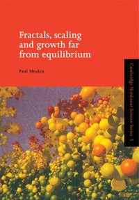 bokomslag Fractals, Scaling and Growth Far from Equilibrium