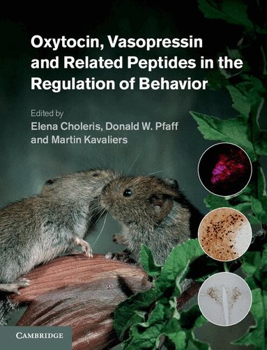 Elena Choleris, Donald W. Pfaff, Martin Kavaliers - Oxytocin, Vasopressin and Related Peptides in the Regulation of Behavior, Inbunden