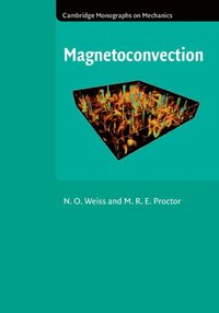 bokomslag Magnetoconvection