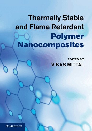 Vikas Mittal - Thermally Stable and Flame Retardant Polymer Nanocomposites, Inbunden