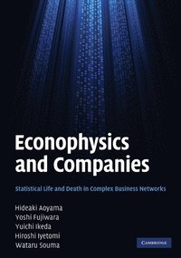 bokomslag Econophysics and Companies