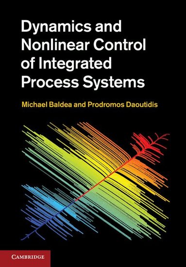 Michael Baldea, Prodromos Daoutidis - Dynamics and Nonlinear Control of Integrated Process Systems, Inbunden